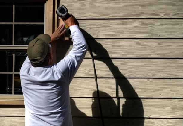 Best Brick Veneer Siding  in Franklin Grove, IL