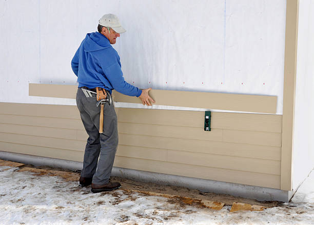 Best Stone Veneer Siding  in Franklin Grove, IL